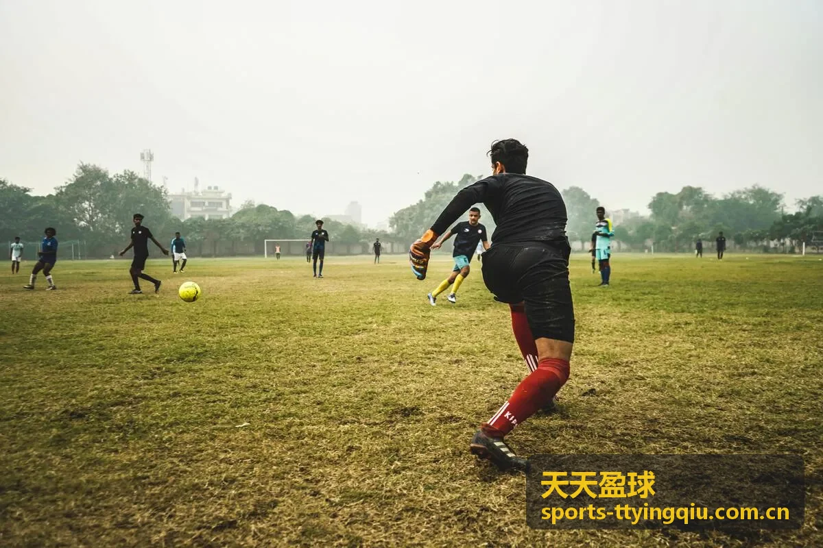 天天盈球热门精华攻略之二