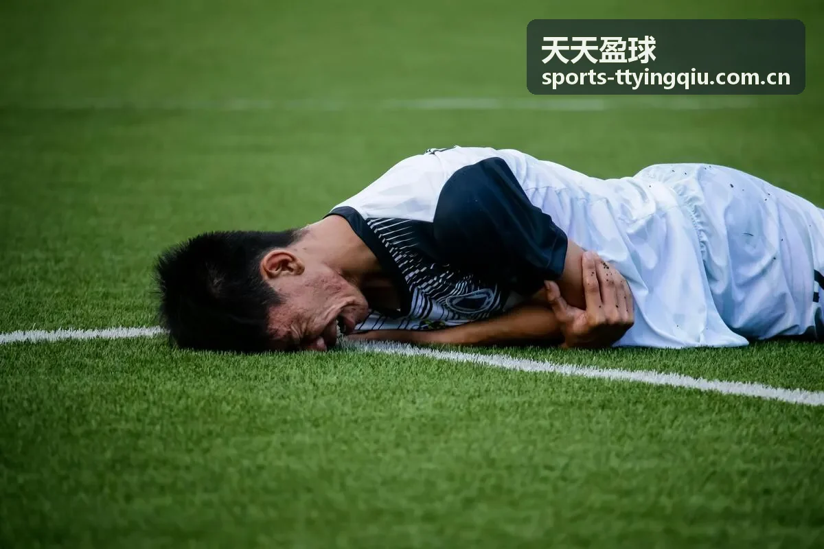 天天盈球热门精华攻略之三